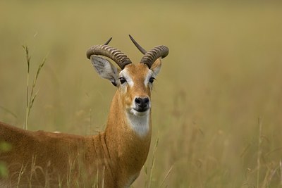 BUITEN BEELD Foto: 17756