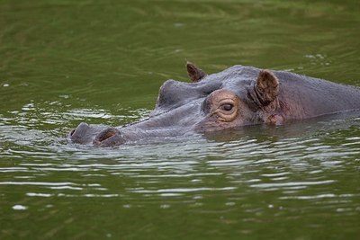 BUITEN BEELD Foto: 17770