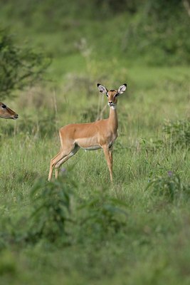 BUITEN BEELD Foto: 17779