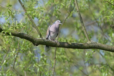 BUITEN BEELD Foto: 17797