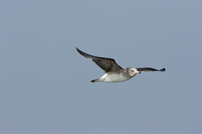 BUITEN BEELD Foto: 17801