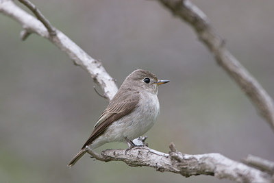BUITEN BEELD Foto: 17853