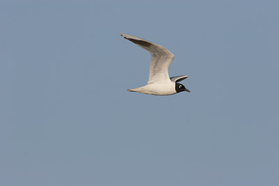 BUITEN BEELD Foto: 17864