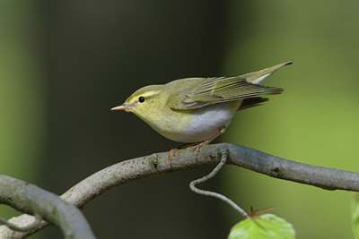 BUITEN BEELD Foto: 17877