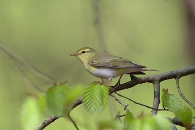 BUITEN BEELD Foto: 17882