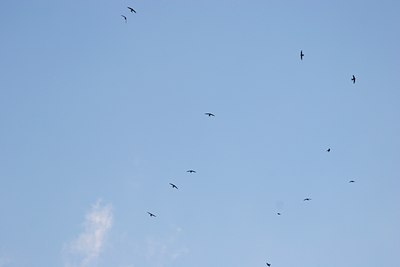BUITEN BEELD Foto: 17896