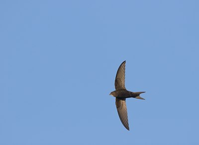 BUITEN BEELD Foto: 17903