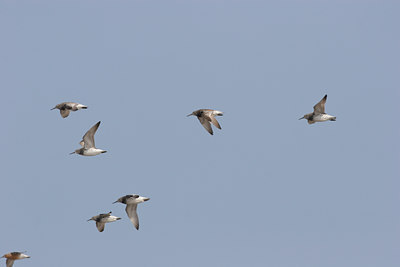 BUITEN BEELD Foto: 17922