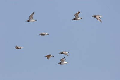 BUITEN BEELD Foto: 17923