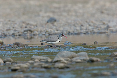 BUITEN BEELD Foto: 17938
