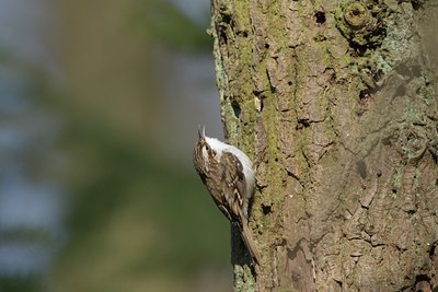 BUITEN BEELD Foto: 17991