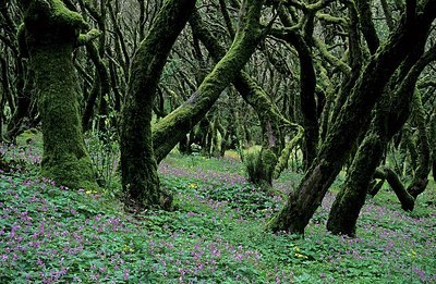 BUITEN BEELD Foto: 179022