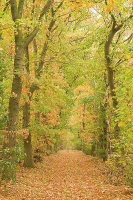 BUITEN BEELD Foto: 179029