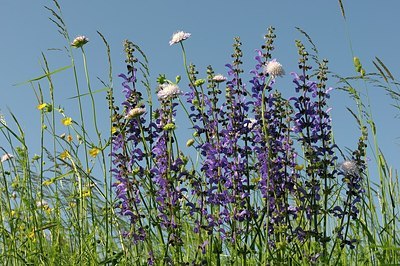 BUITEN BEELD Foto: 179076