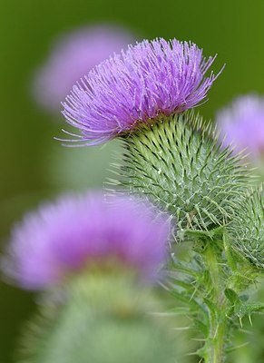 BUITEN BEELD Foto: 179080