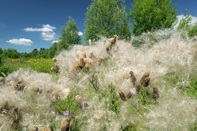 BUITEN BEELD Foto: 179089