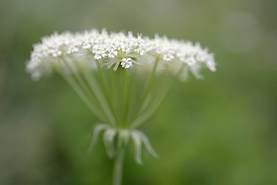 BUITEN BEELD Foto: 179099