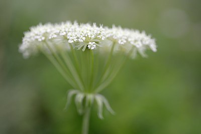 BUITEN BEELD Foto: 179099