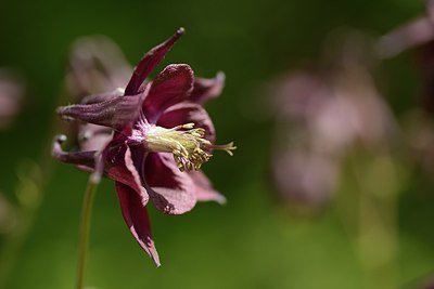 BUITEN BEELD Foto: 179138