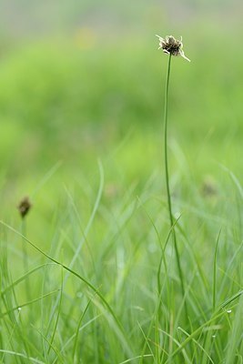 BUITEN BEELD Foto: 179164