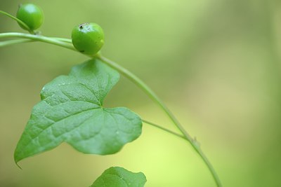 BUITEN BEELD Foto: 179170