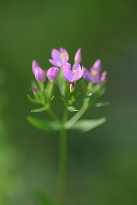 BUITEN BEELD Foto: 179172