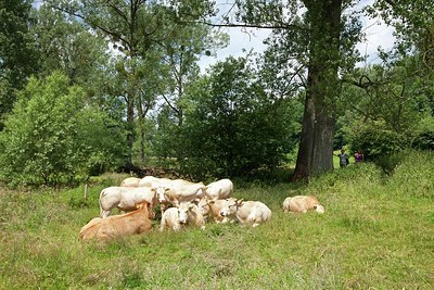 BUITEN BEELD Foto: 179185