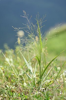 BUITEN BEELD Foto: 179263