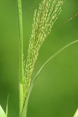 BUITEN BEELD Foto: 179264