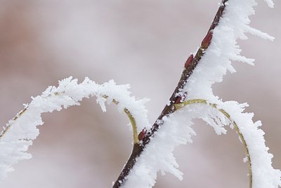 BUITEN BEELD Foto: 179266