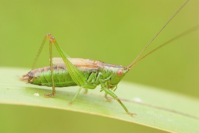 BUITEN BEELD Foto: 179370