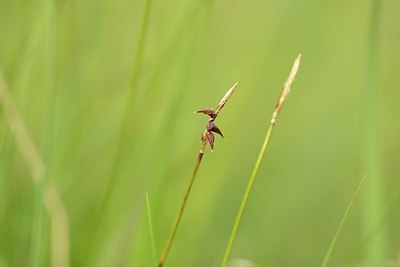 BUITEN BEELD Foto: 179409
