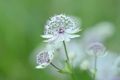 BUITEN BEELD Foto: 179430