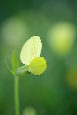 BUITEN BEELD Foto: 179436