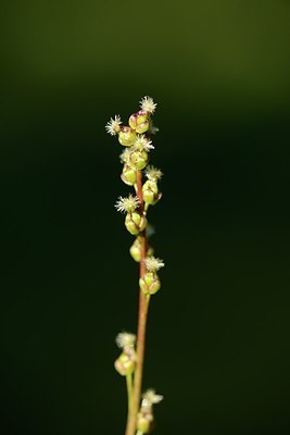 BUITEN BEELD Foto: 179440