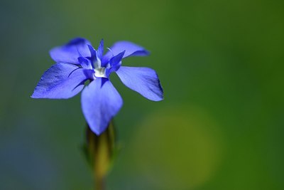 BUITEN BEELD Foto: 179446