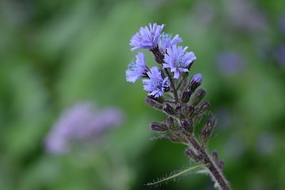 BUITEN BEELD Foto: 179449