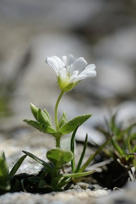 BUITEN BEELD Foto: 179452