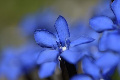 BUITEN BEELD Foto: 179454