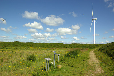 BUITEN BEELD Foto: 179464