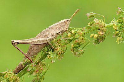 BUITEN BEELD Foto: 179483