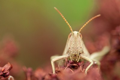 BUITEN BEELD Foto: 179491