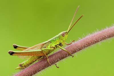 BUITEN BEELD Foto: 179492