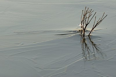 BUITEN BEELD Foto: 179503