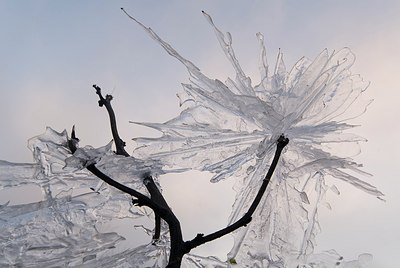 BUITEN BEELD Foto: 179505
