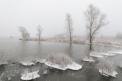 BUITEN BEELD Foto: 179510