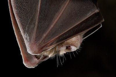 BUITEN BEELD Foto: 179532