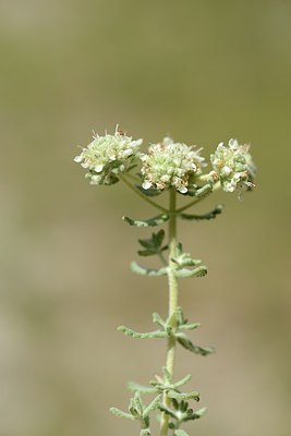 BUITEN BEELD Foto: 179567