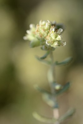 BUITEN BEELD Foto: 179577