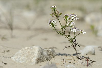 BUITEN BEELD Foto: 179591